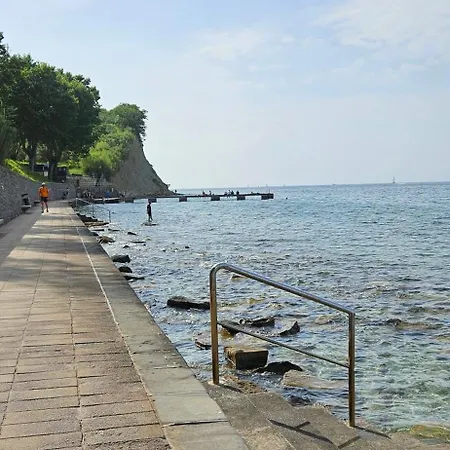 Проживание в семье Laguna Gisela